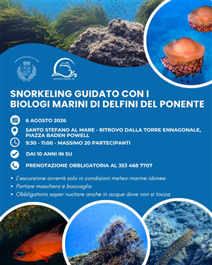 Snorkeling...Piccoli delfini cerscono
